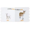Baby Animals on the Farm (Rookie Toddler)