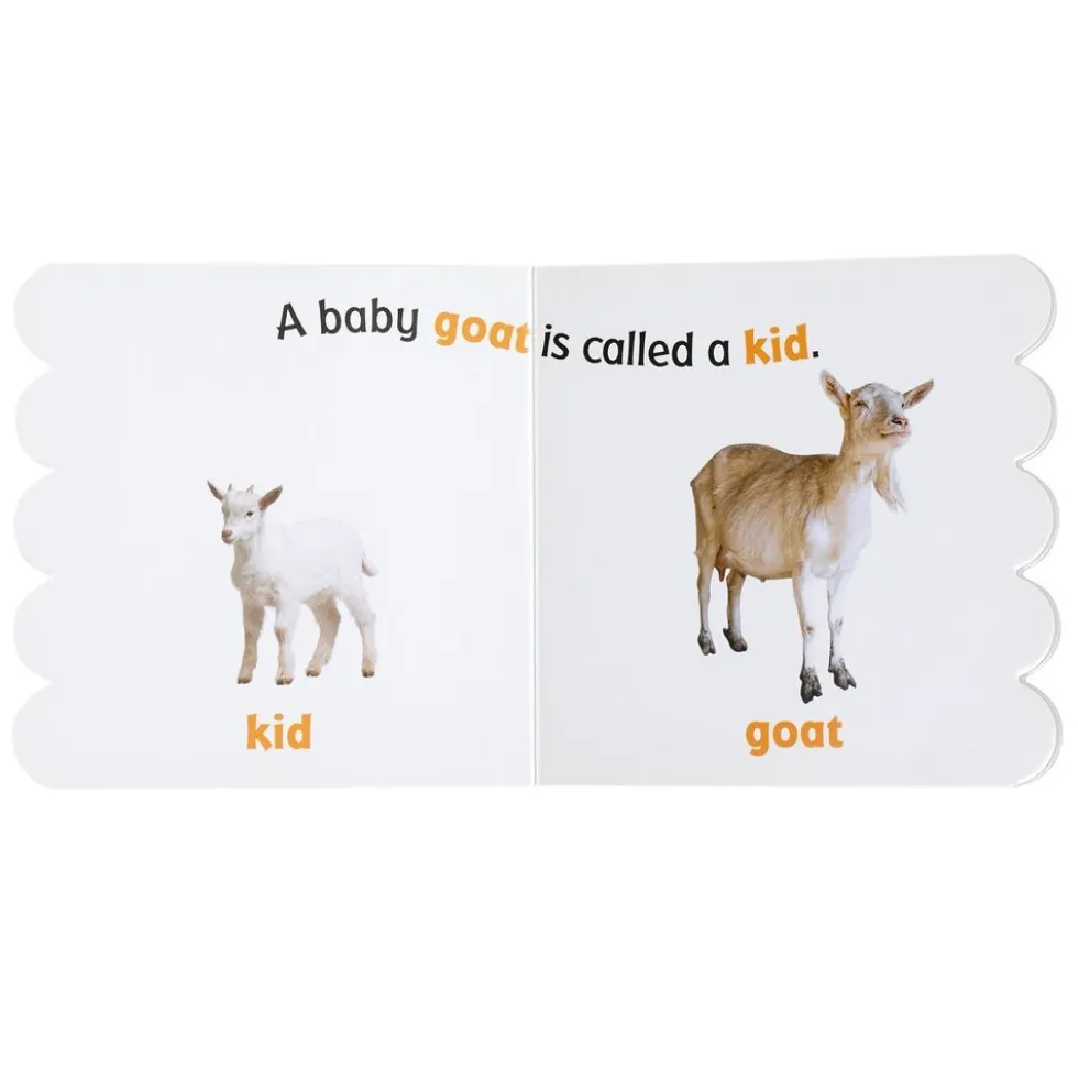 Baby Animals on the Farm (Rookie Toddler)