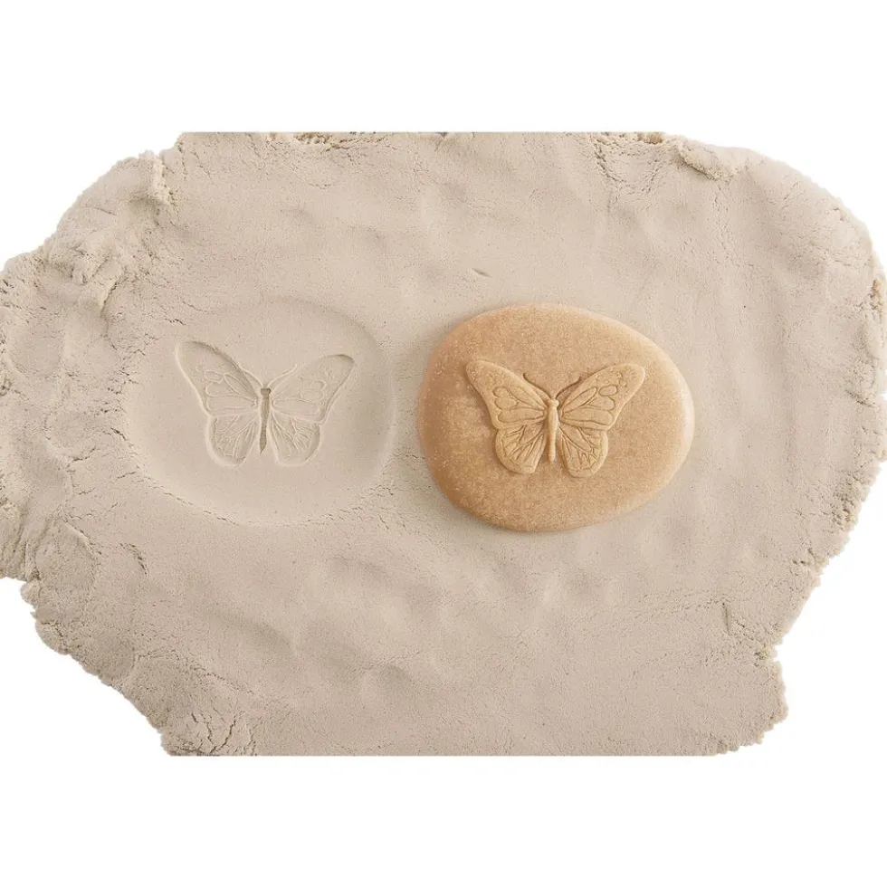 Bug & Fossil Set - 16 Pieces