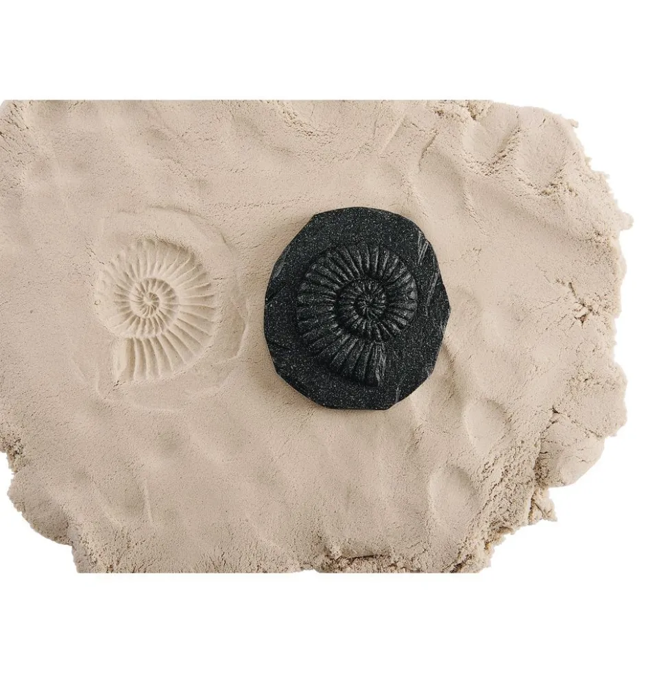 Bug & Fossil Set - 16 Pieces