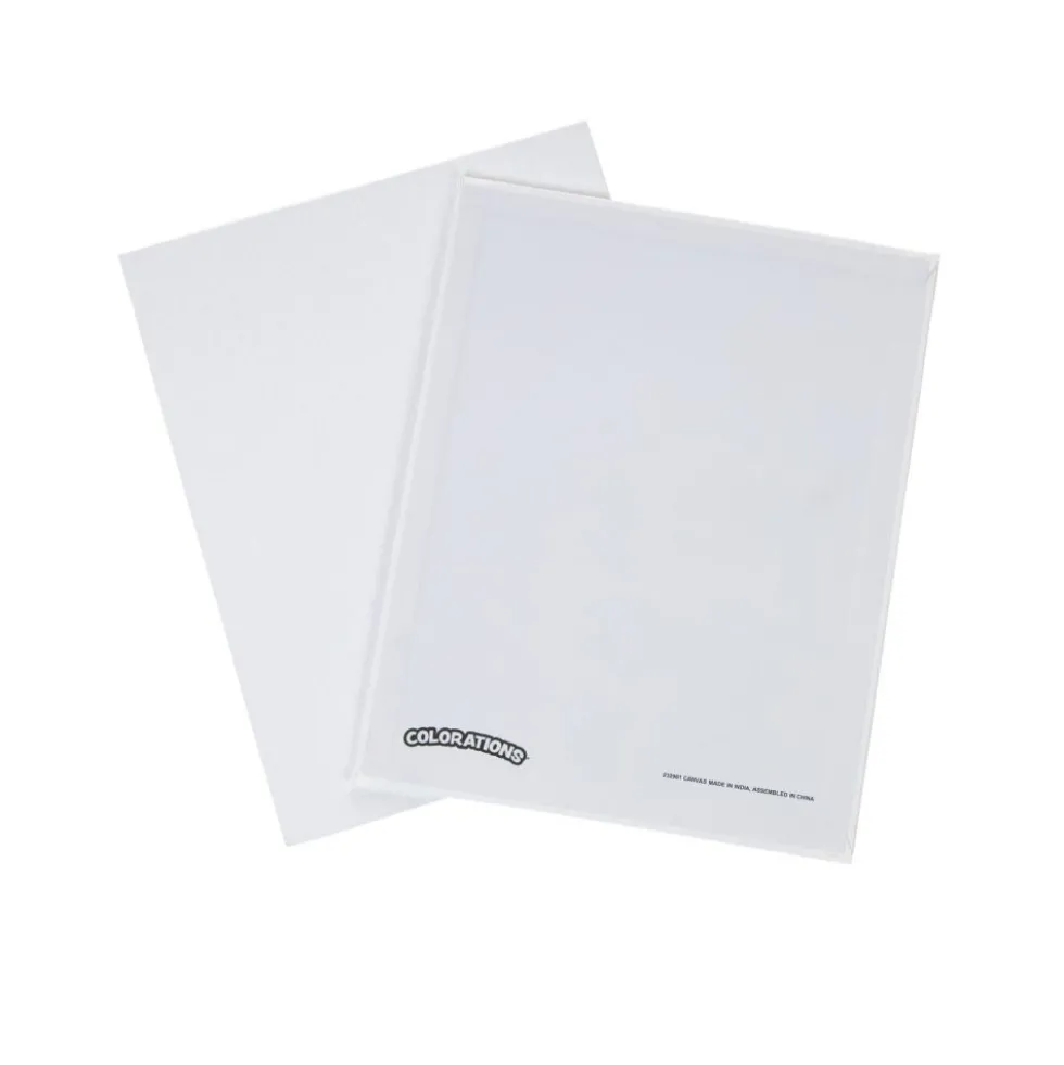 Colorations® 8" x 10" Canvas Panels - Set of 6