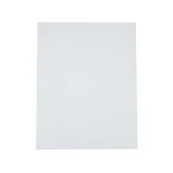 Colorations®11" X 14" Canvas Panels - Set of 6