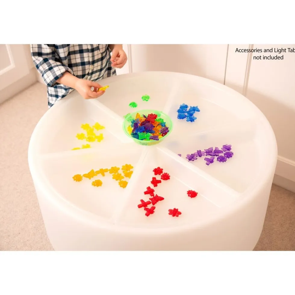 Discovery Trays - Set of 6