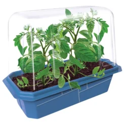 Edible Garden - Set of 6