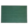 Environments® Dunes Indoor/Outdoor Carpet 4' x 6' - Coastal Pine