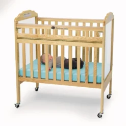 Environments® Safe-T-Side® Clear View Crib with Mattress