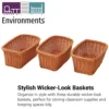 Environments® Wicker-Look Baskets - Set Of 3