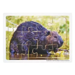 Excellerations® Animals in Their Biomes Puzzles - Set of 8