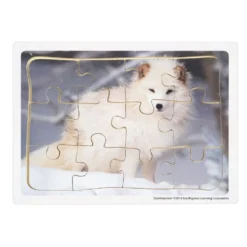 Excellerations® Animals in Their Biomes Puzzles - Set of 8