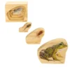 Excellerations® earlySTEM™ Life Cycles Nesting Puzzles - Set of 3