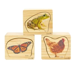 Excellerations® earlySTEM™ Life Cycles Nesting Puzzles - Set of 3