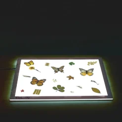 Excellerations® Laminated Specimen Set 28 Pieces