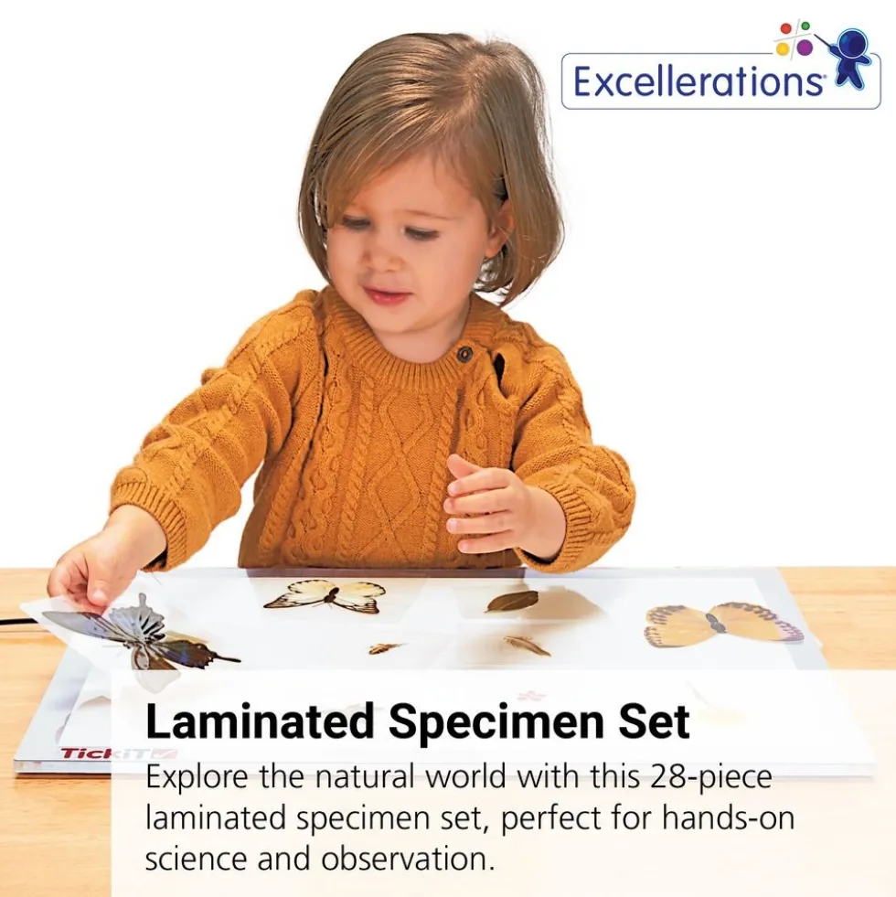 Excellerations® Laminated Specimen Set 28 Pieces
