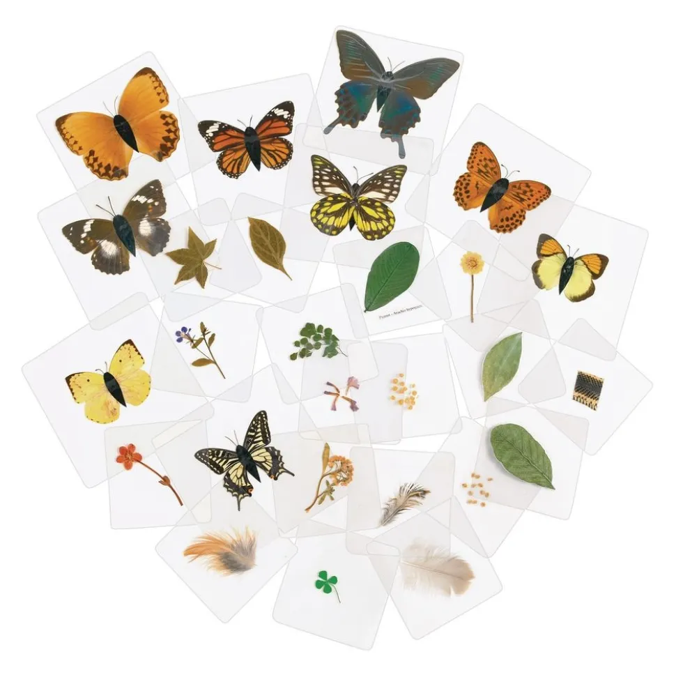 Excellerations® Laminated Specimen Set 28 Pieces
