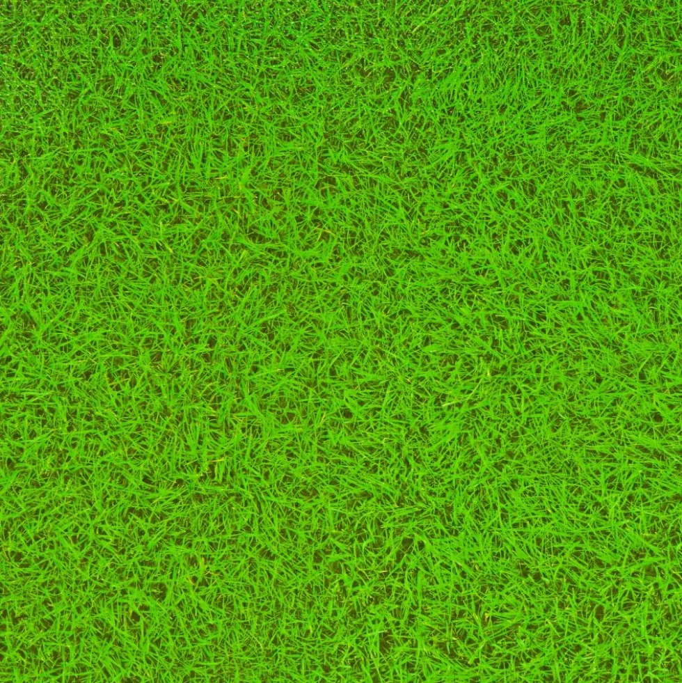 Excellerations® My First Playmat Grass Design