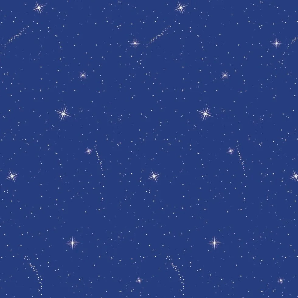 Fadeless® Design Paper Rolls - Night Sky