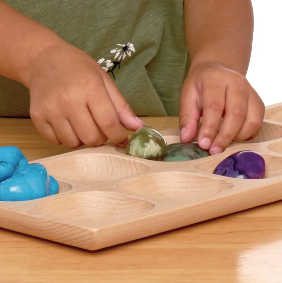 10 Frame Tray