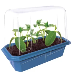 Garden Grow Kit - Greenhouse + 6 plants