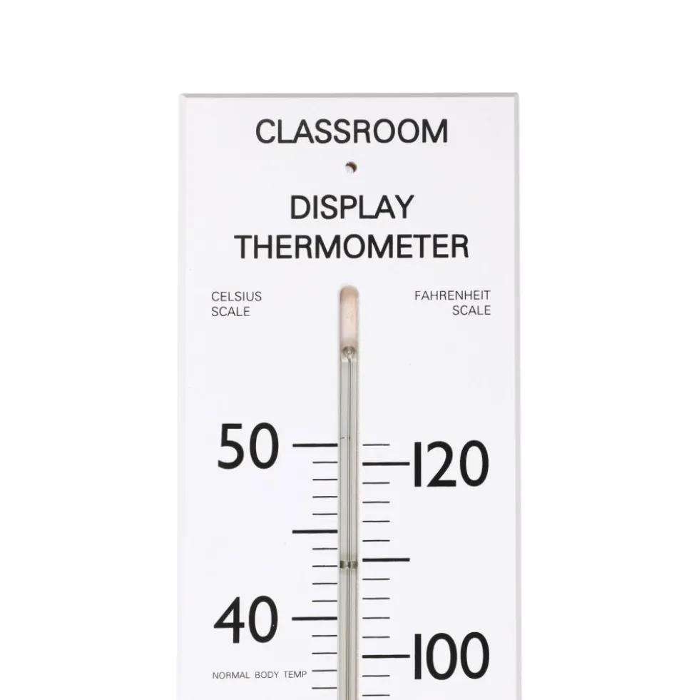 Giant Classroom Thermometer