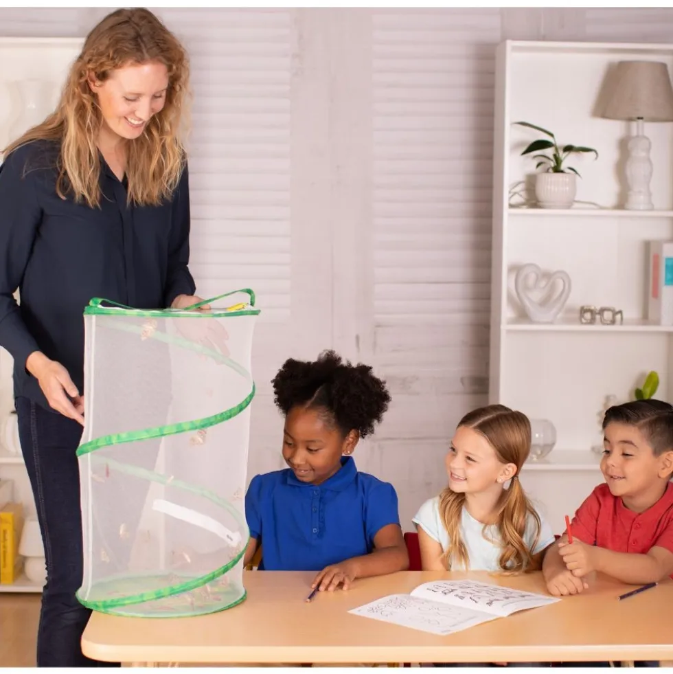 Insect Lore® Butterfly Garden Classroom Set
