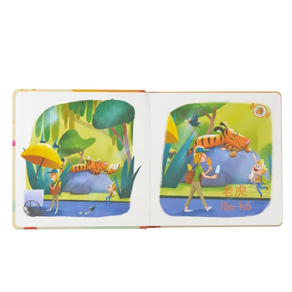 Language Adventures Talking Books Set of 2 - Mandarin Chinese