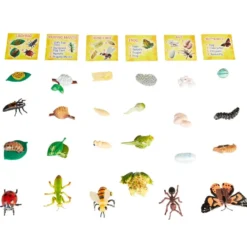 Life Cycle Figurines - 24 Pieces