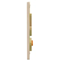 Life Cycle Wooden STEAM Board