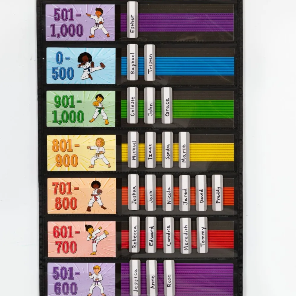 Math Facts Karate System Addition And Subtraction Through 1,000 - 1 pocket chart system
