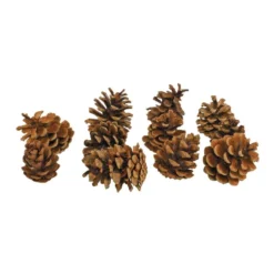 Medium Craft Pinecones - 12 Pieces