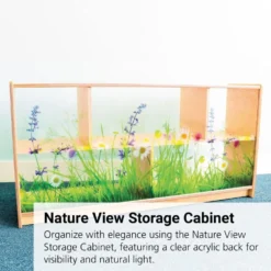 Nature View Acrylic Back Cabinet - 24