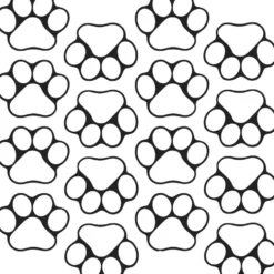Ready-To-Decorate® Student Name Paw-Print Magnets - 32 magnets