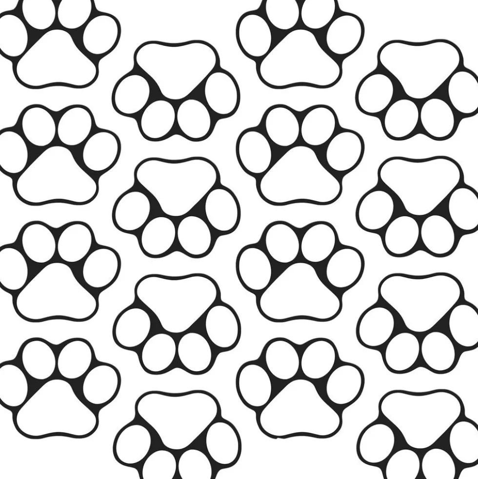 Ready-To-Decorate® Student Name Paw-Print Magnets - 32 magnets