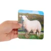 Really Good Stuff® Lenticular Cards- Set of 12