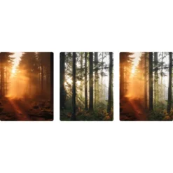 Really Good Stuff® Lenticular Posters - Set of 6