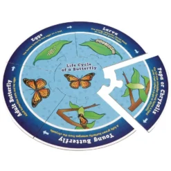 Really Good Stuff® Life Cycle Puzzles