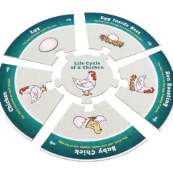 Really Good Stuff® Life Cycle Puzzles