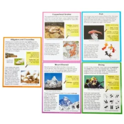 Really Good Stuff® Main Idea Markup Story Cards and Tags - Level 1