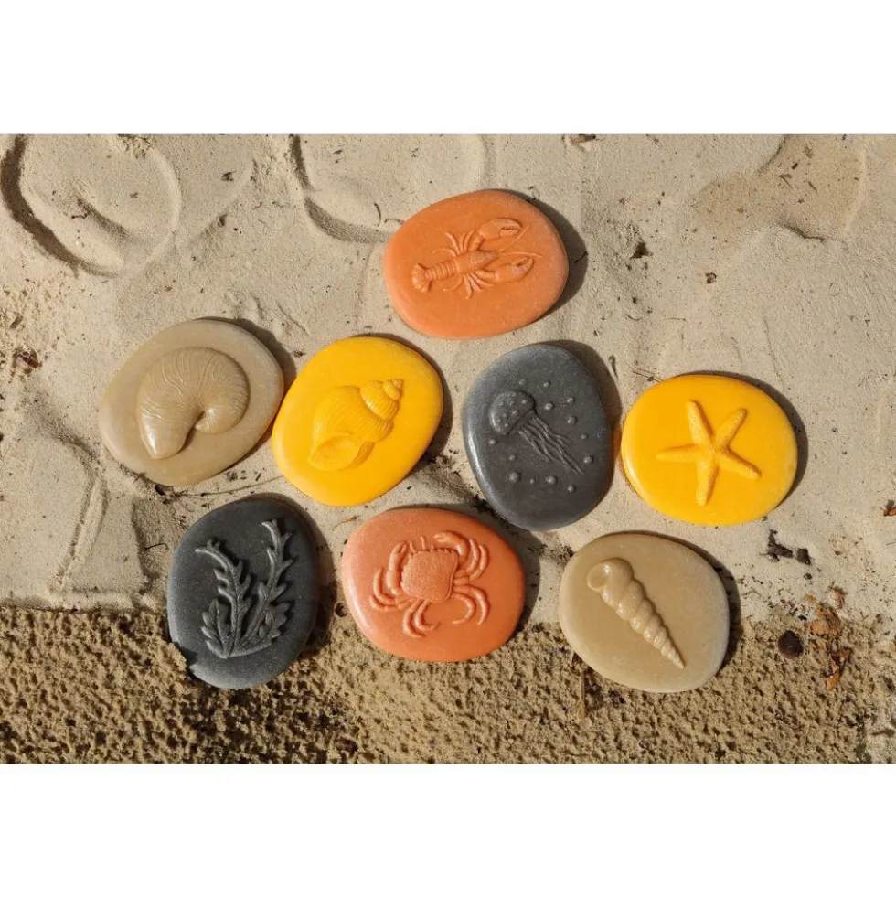 Seashore Sensory Stones - Set of 8