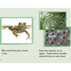 TIME FOR KIDS® Informational Text Grade 1 Readers Spanish 30-Book Set