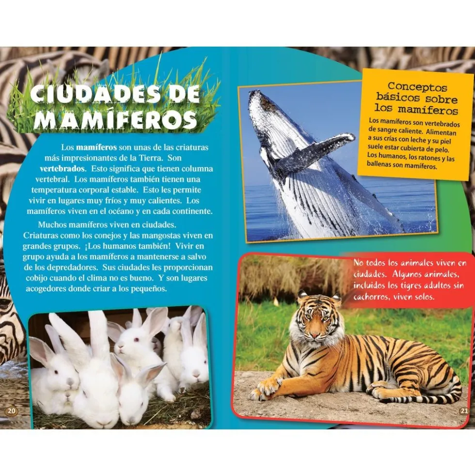 TIME FOR KIDS® Informational Text Grade 4 Spanish 30-Book Set