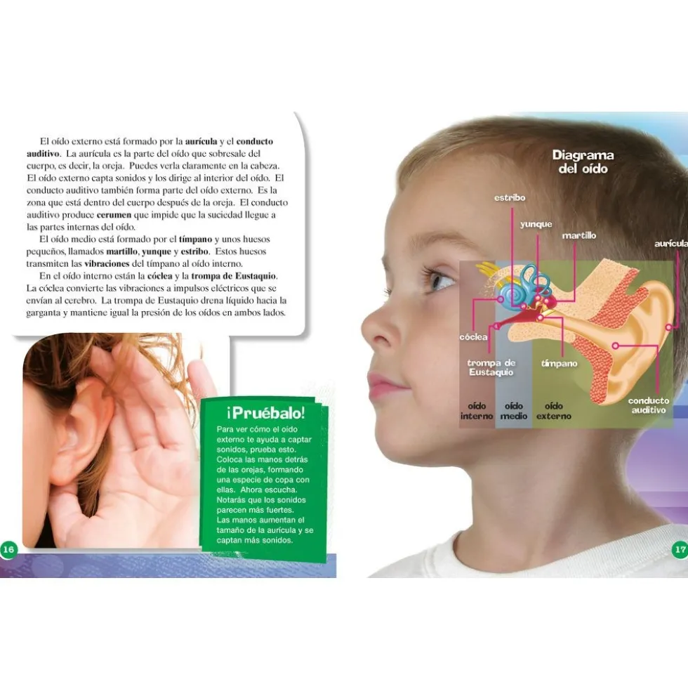 TIME FOR KIDS® Informational Text Grade 3 Spanish Set 1 10-Book Set