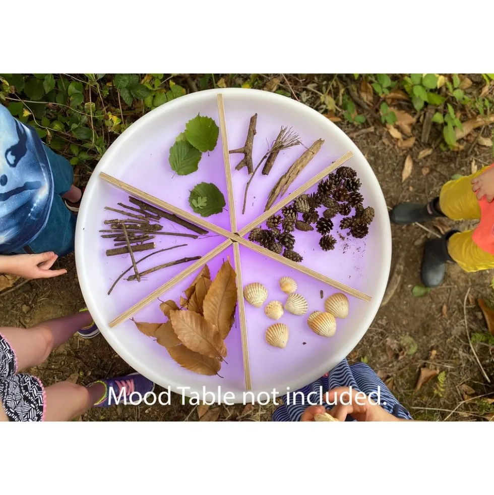 Wooden Discovery Dividers